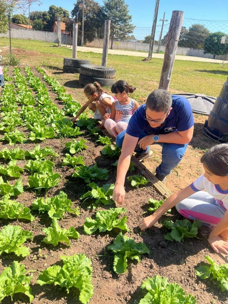 Horta Escolar: Projeto da Escola Vila Real desde 2024