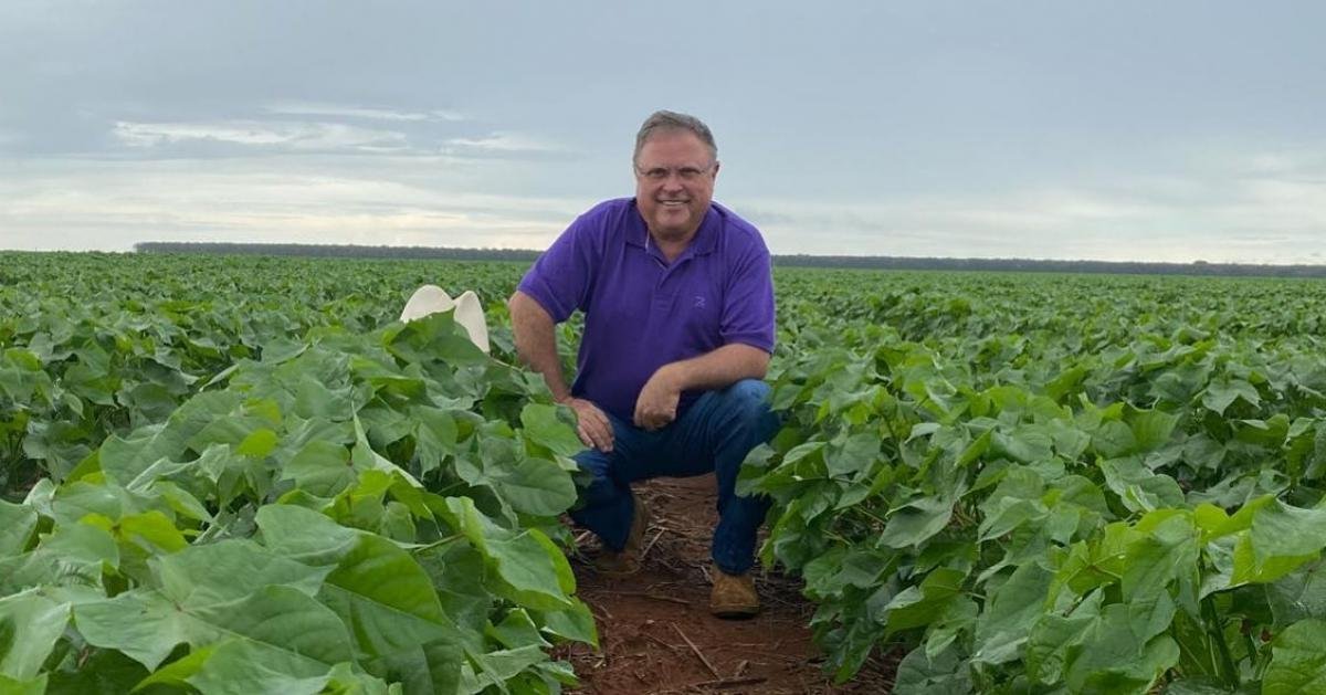 Tarifa Trump Brasil: Maggi critica taxa de 50%