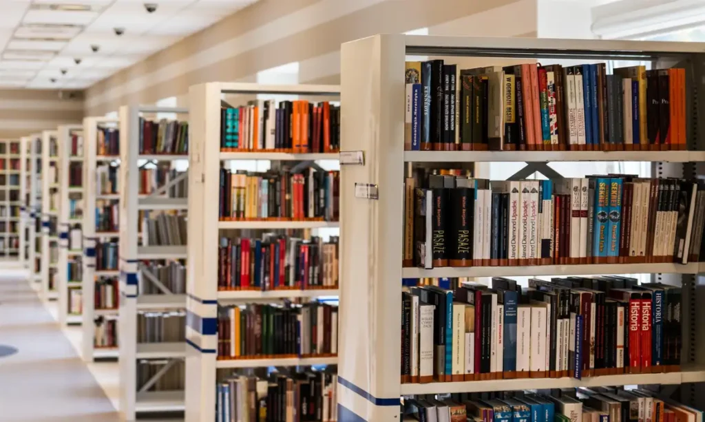 Biblioteca, Livros, Estantes de livros. Foto: jarmoluk/PixaBay