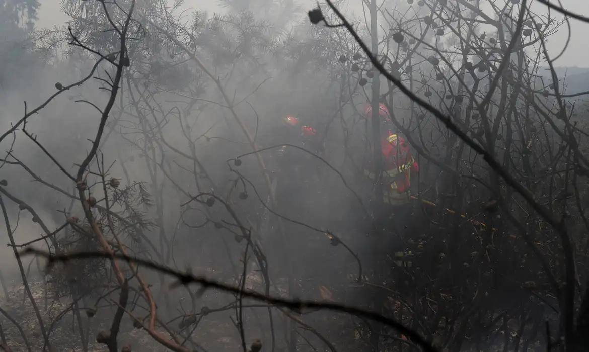 Bombeiros trabalham em incêndio florestal em Portugal