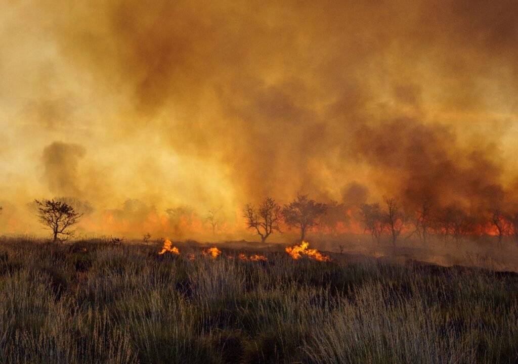Redução incêndios florestais: Cáceres celebra recorde em 2025