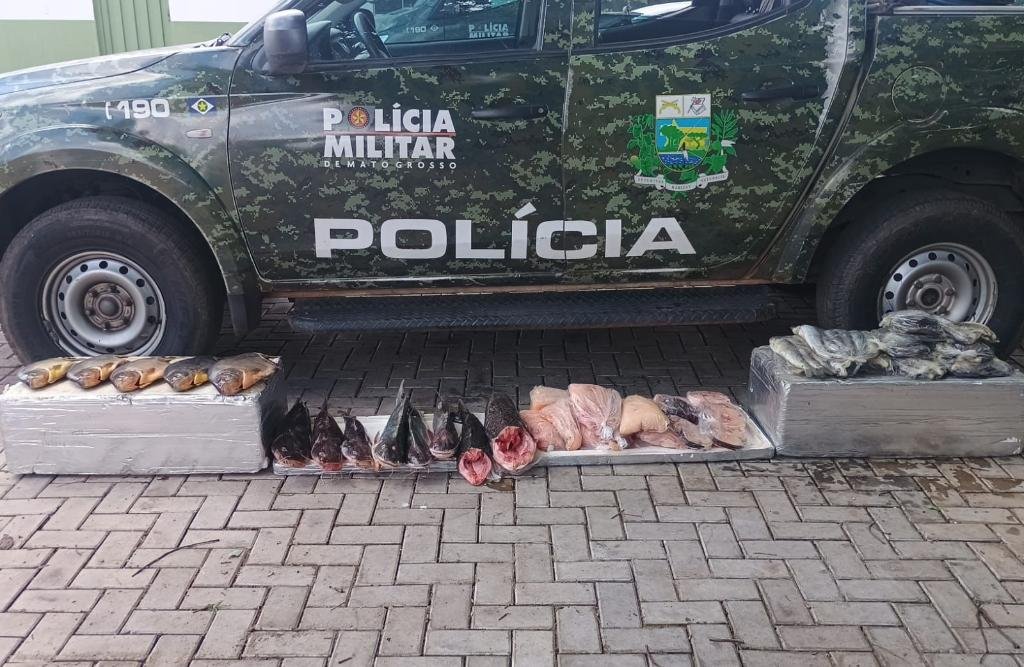 Batalhão Ambiental apreende pescado irregular