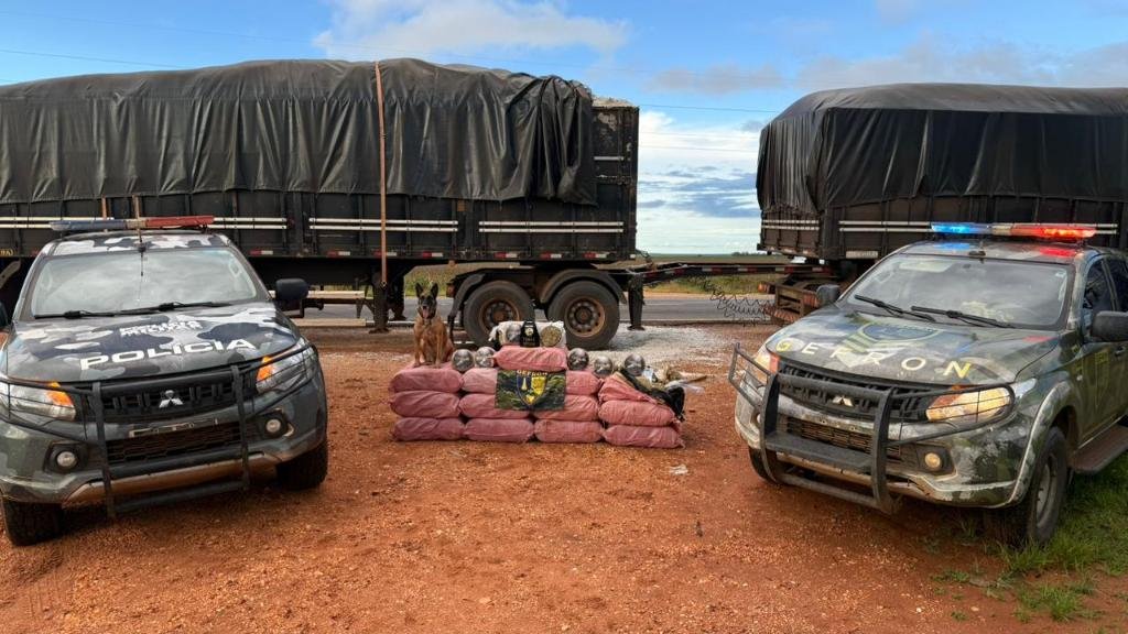 Gefron apreende skank: 405 kg e R$ 1,8 mi de prejuízo