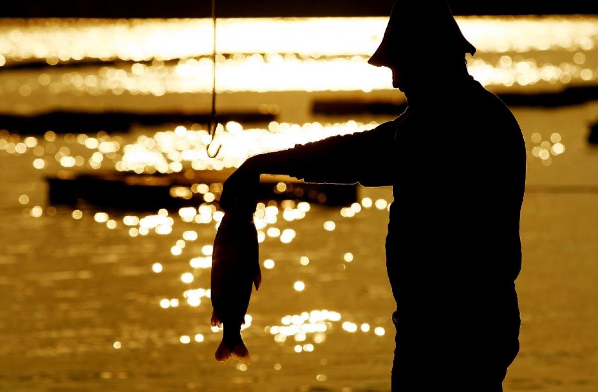 Seguro-Defeso Mato Grosso: Pagamentos a 16 mil pescadores em MT