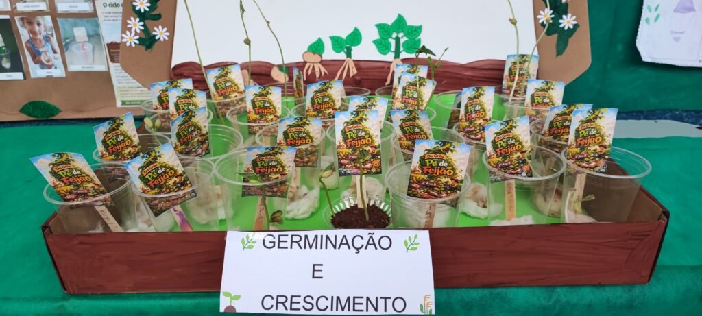 Do pé de feijão: projeto incentiva aprendizagem prática em Cáceres
