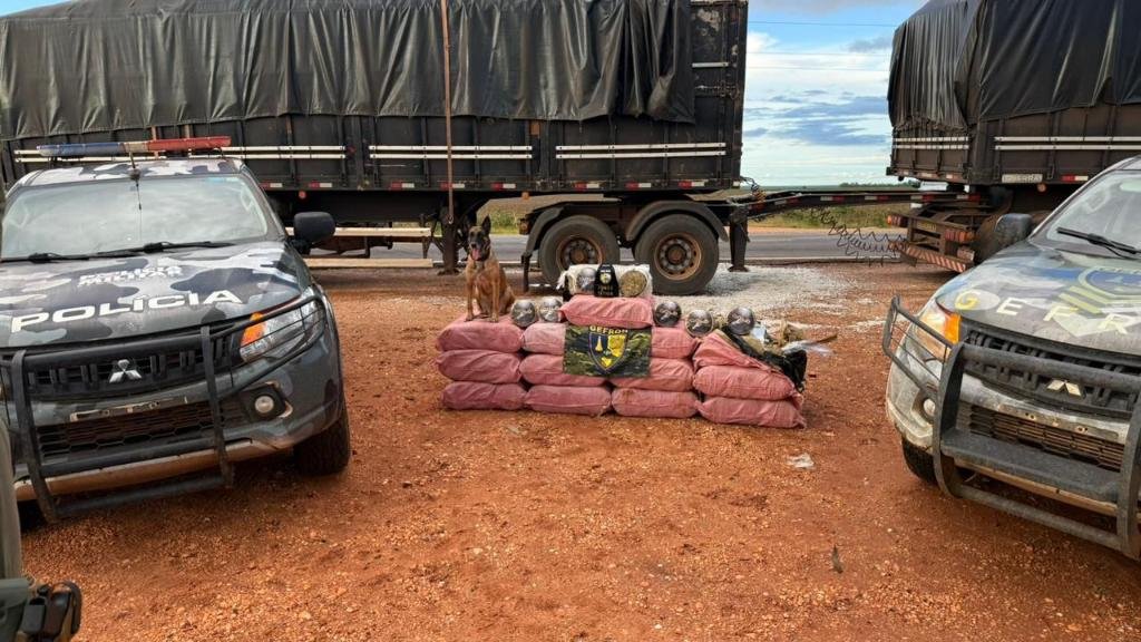 Operações do Gefron: prejuízo de R$ 2,5 bilhões a facções criminosas