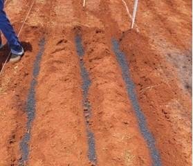 Fertilizante de cinza vegetal: UFR desenvolve solução em Rondonópolis