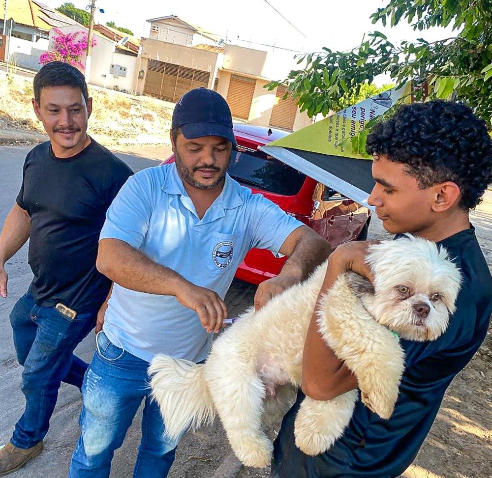 Campanha de Vacinação Antirrábica começa neste sábado em Cáceres