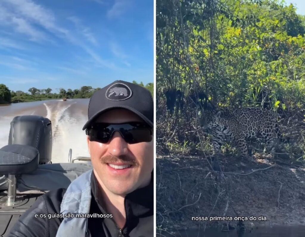 Influencer no Pantanal: Daniel Spencer se impressiona com onça