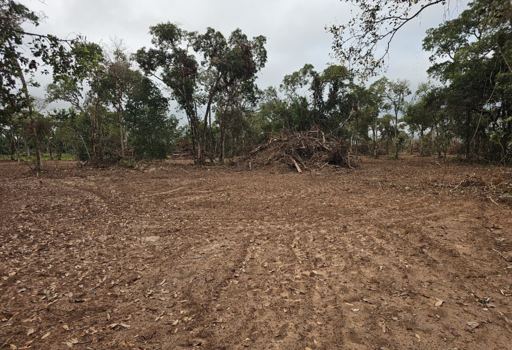 Batalhão Ambiental aplica multa por desmatamento irregular