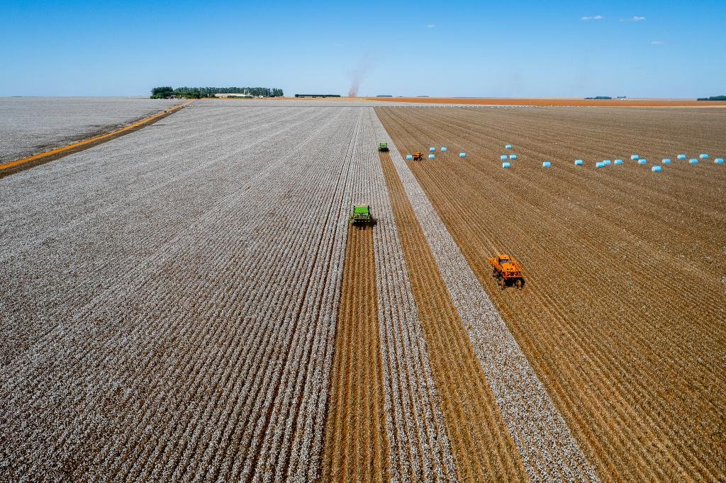 Liderança de Mato Grosso na produção agrícola se consolida
