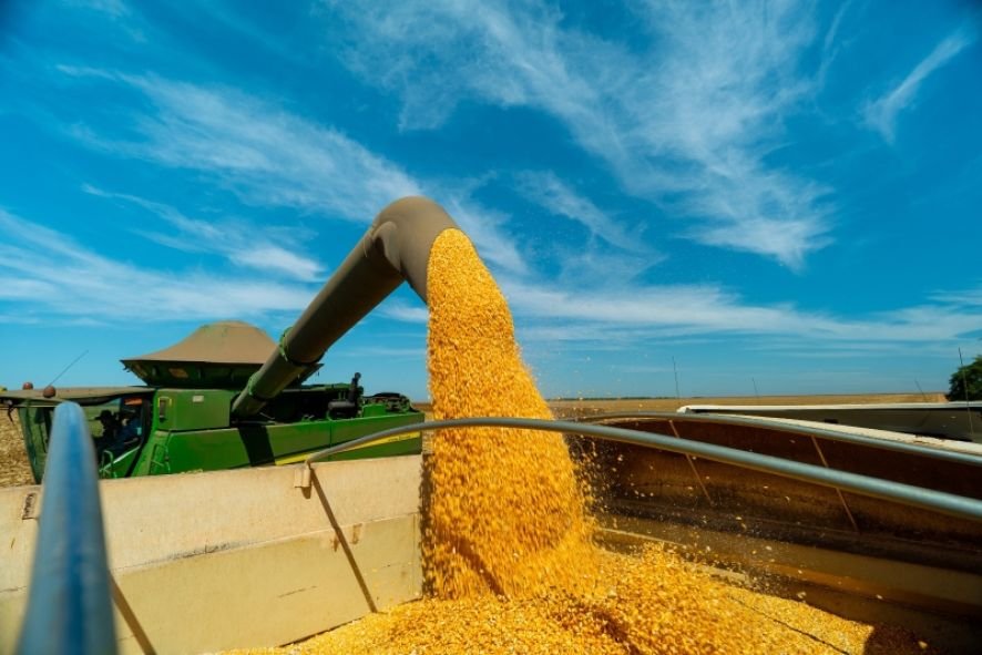 Negócio da Cosan com SLC Agrícola e Bom Futuro em MT