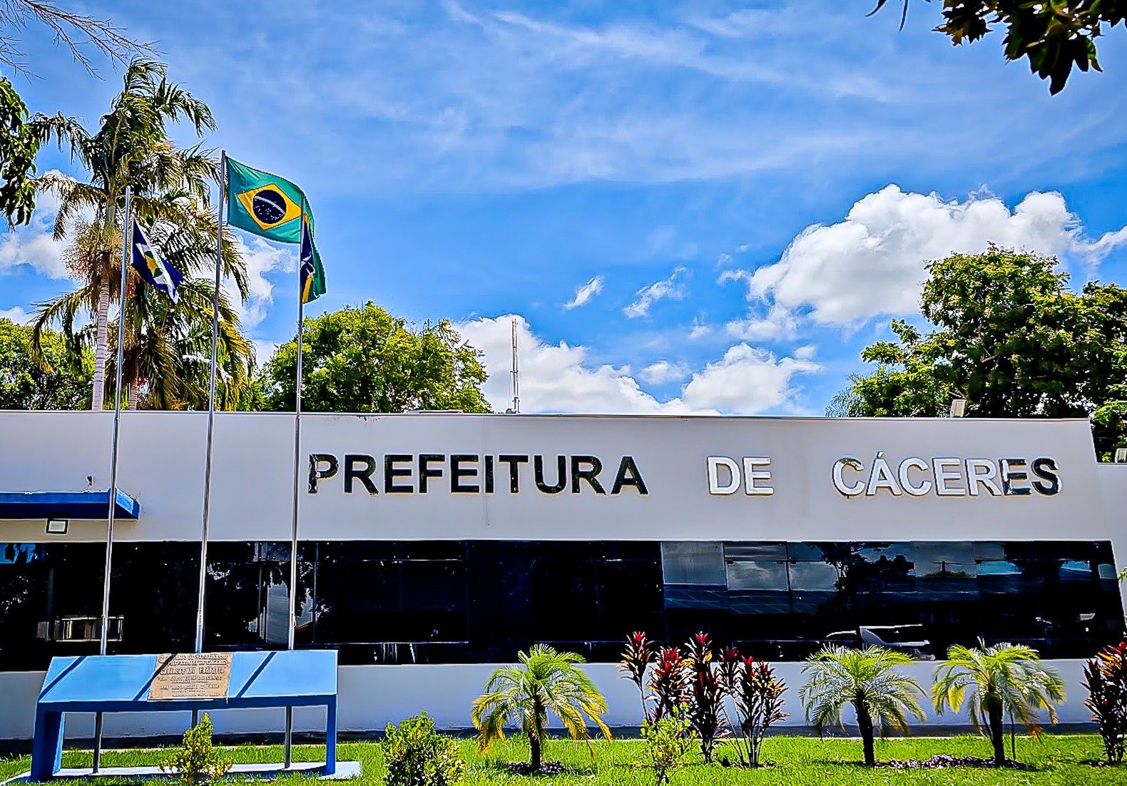 Comitê Eleitoral de Conselhos atualiza entidades habilitadas