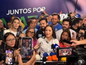 MDB para deputados estaduais: chapa definida e foco em Janaina