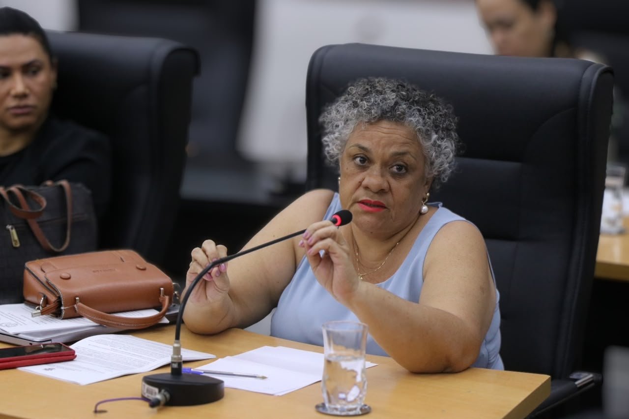 Câmara de Cáceres debate acessibilidade urbana com conselho