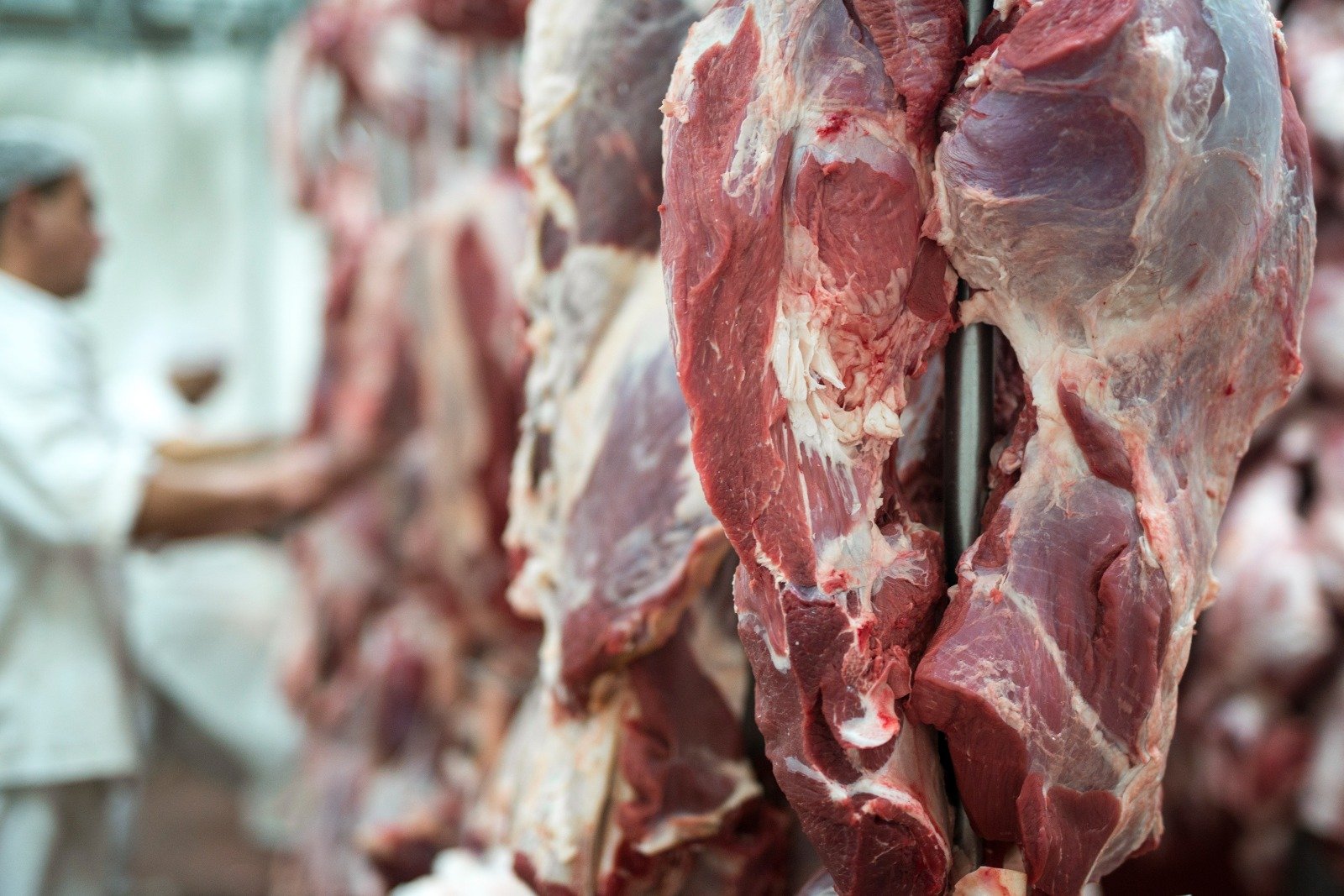 Carne bovina de Mato Grosso chega a 88 países em 2026