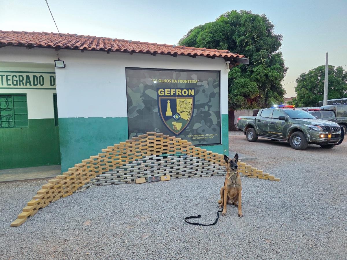 Cão farejador em Cáceres: Drogas de R$ 5,5 milhões apreendidas