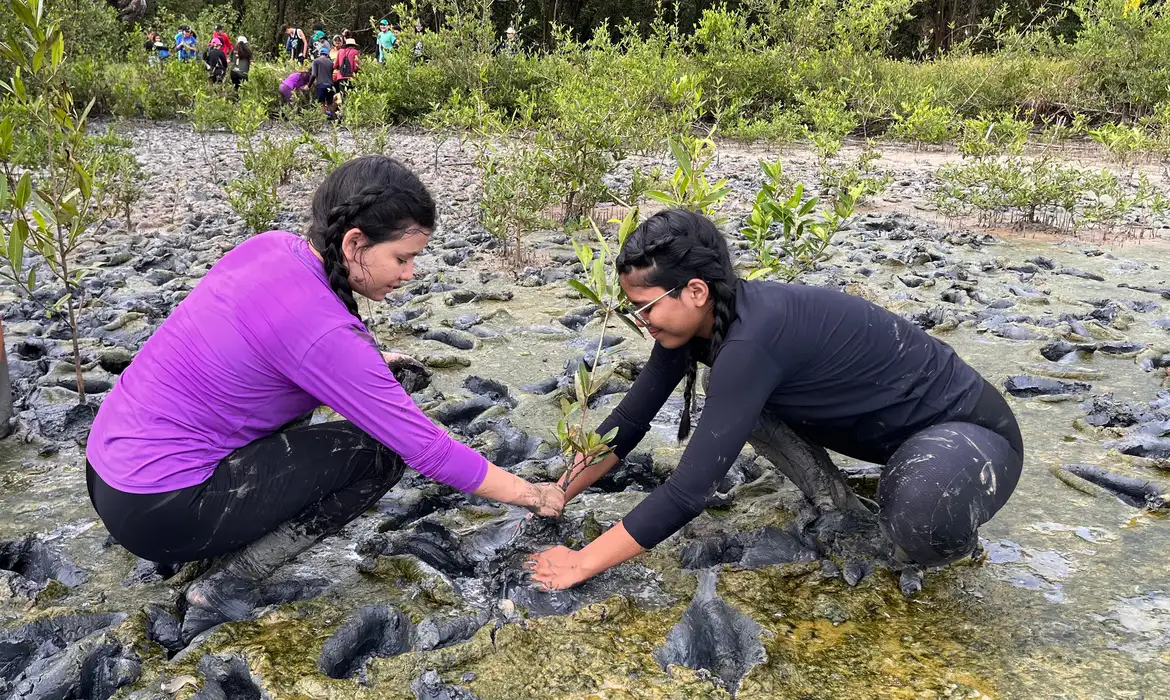 Inscrições Fórum Educação Ambiental: Prazo final para trabalhos