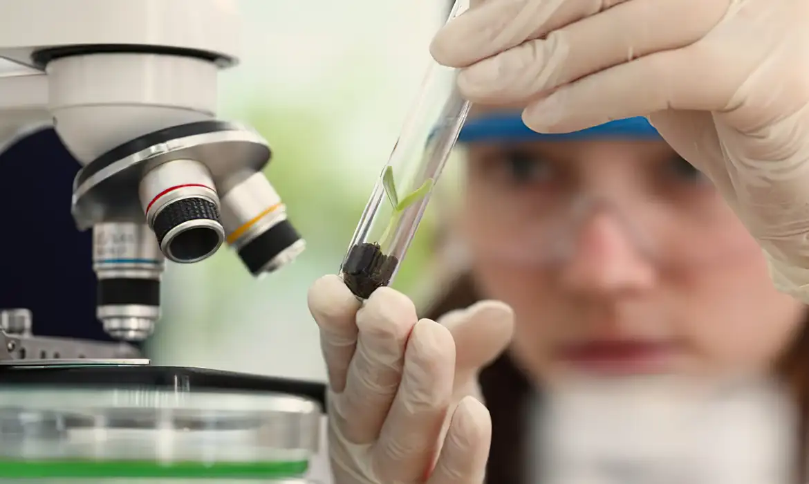 Programa Futuras Cientistas: inscrições abertas para imersão