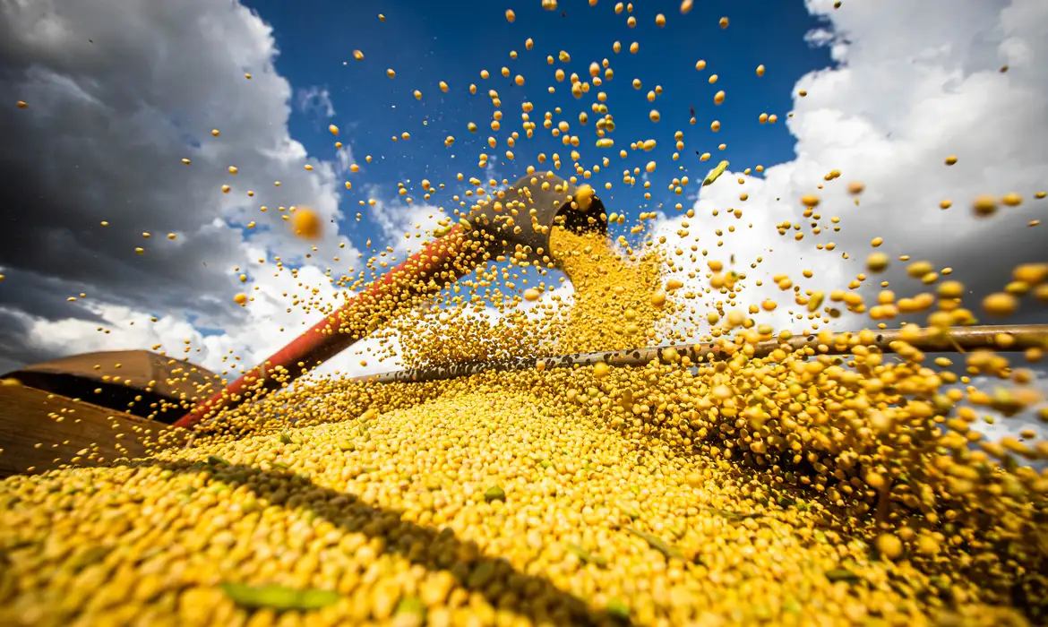 A produção agrícola brasileira supera R$ 927 bilhões em 2025