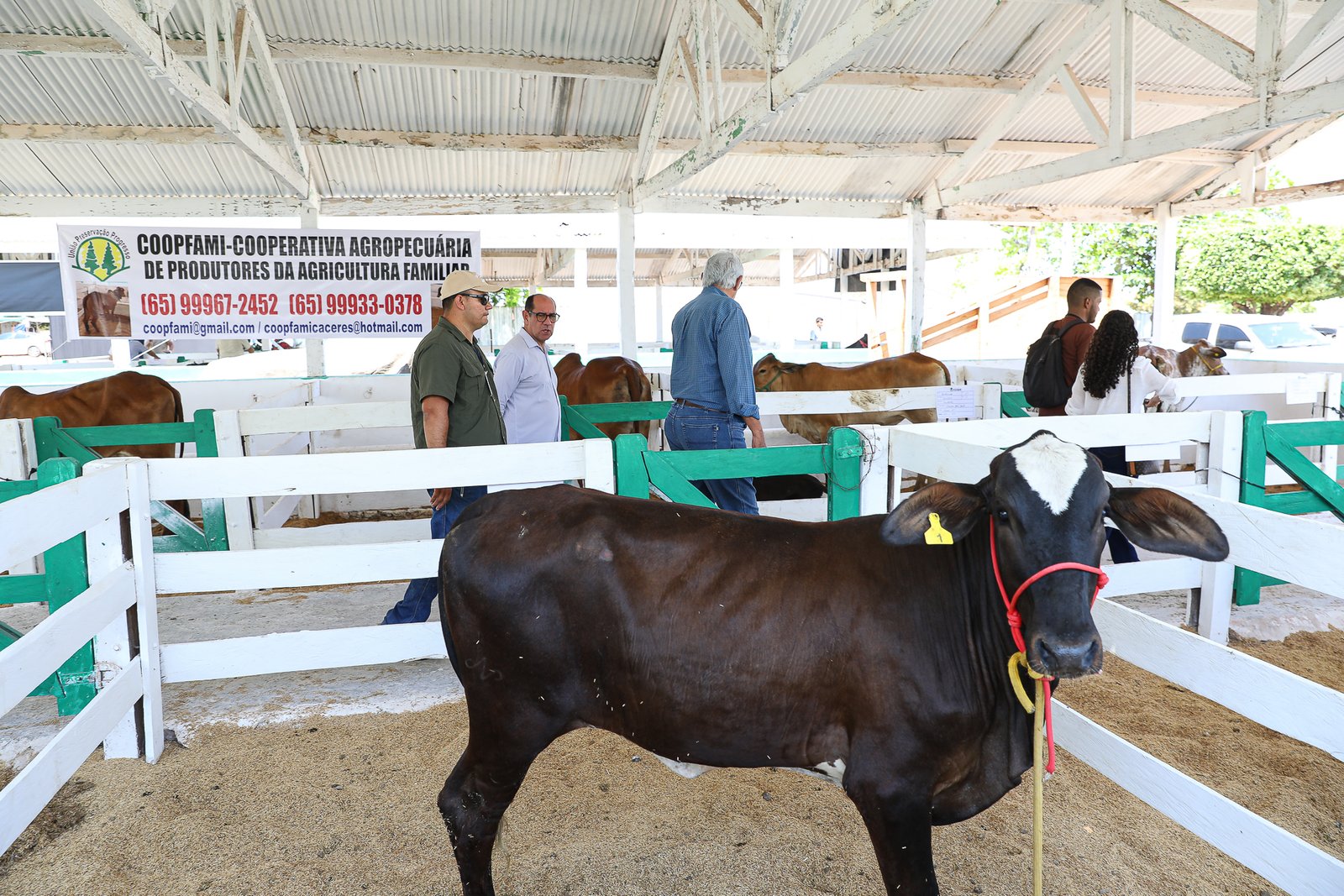 Programa de Melhoramento Genético de Cáceres em destaque na ExpoCáceres