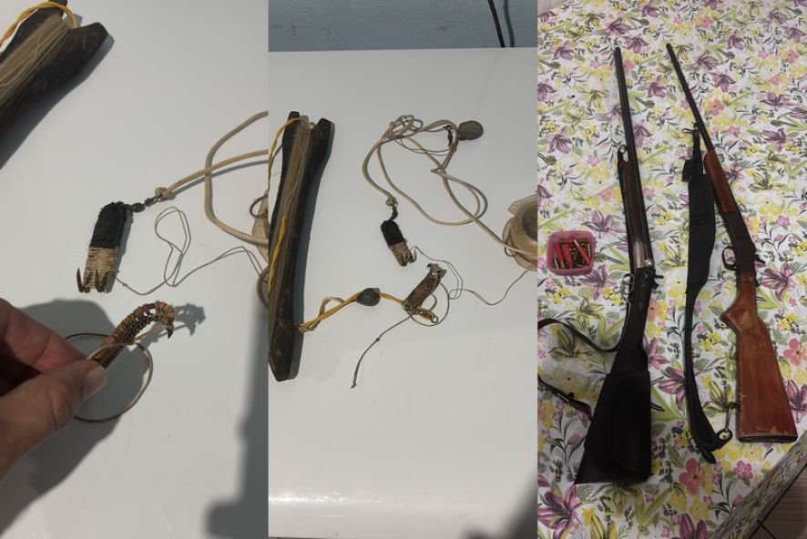Combate à caça de tartarugas: Operação Iurará mira fazendeiro em MT