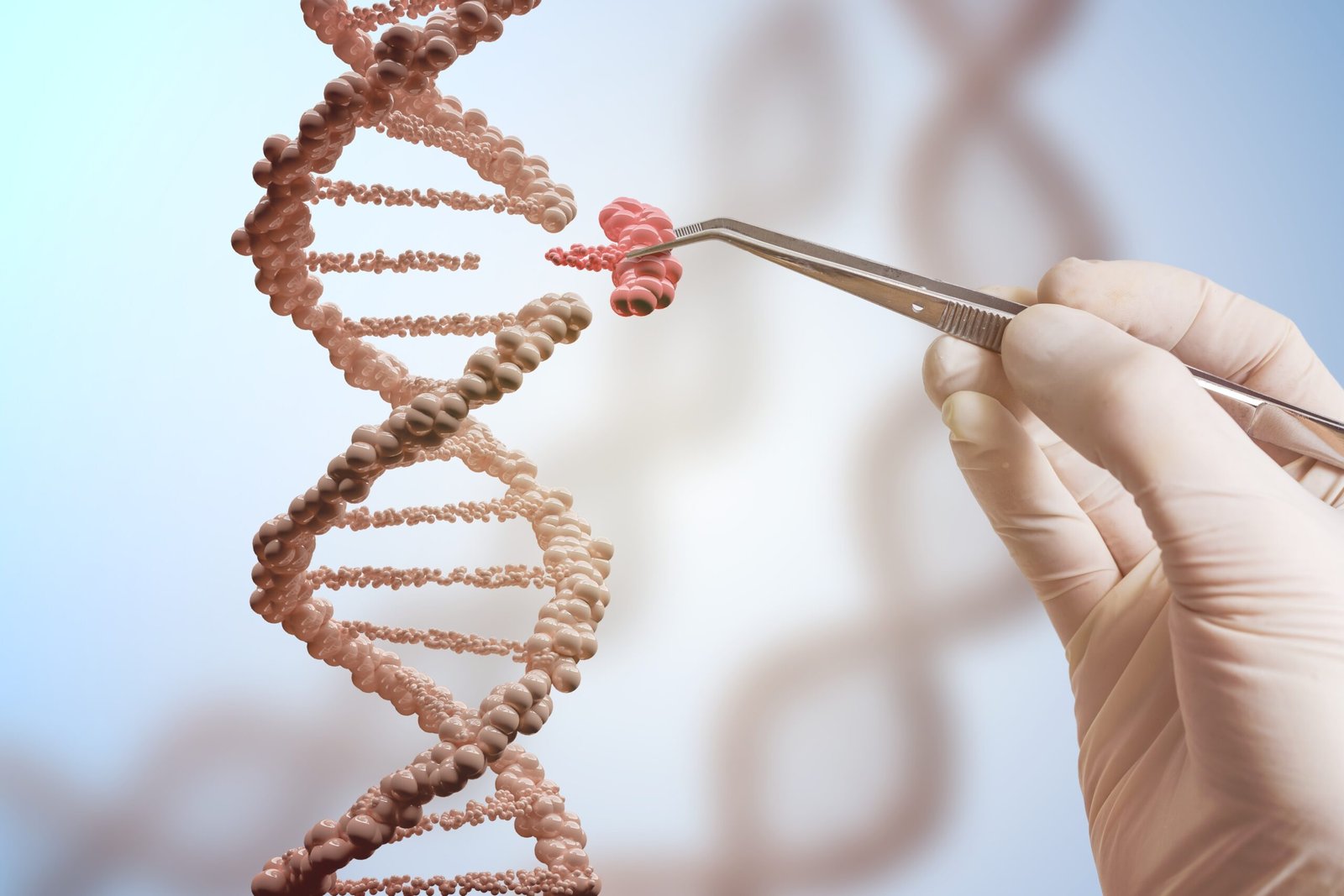 Gene humano em vírus: Descoberta em molusco contagioso de 100 mil anos