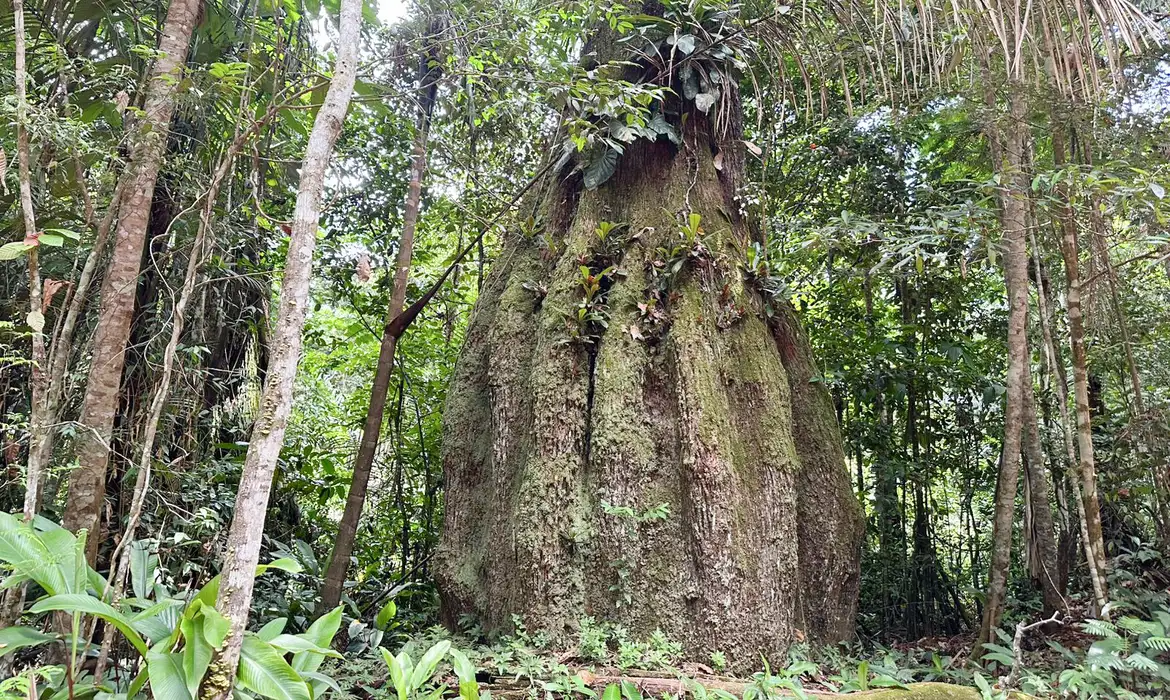 Parlamentares e meio ambiente: maioria contra agenda ambiental