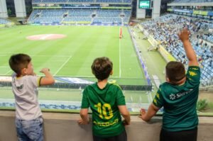 Camarote dos Autistas: Setasc-MT abre inscrições para sorteio