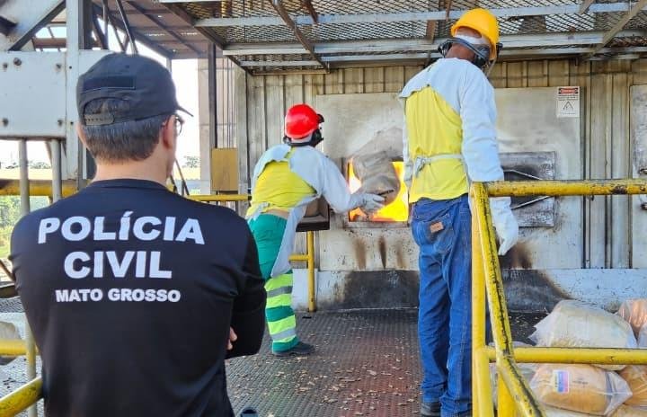 Incineração de drogas: Polícia Civil destrói 220 kg em MT