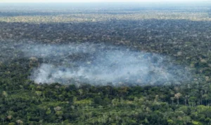 Atividade humana na Amazônia impulsiona emissões de carbono