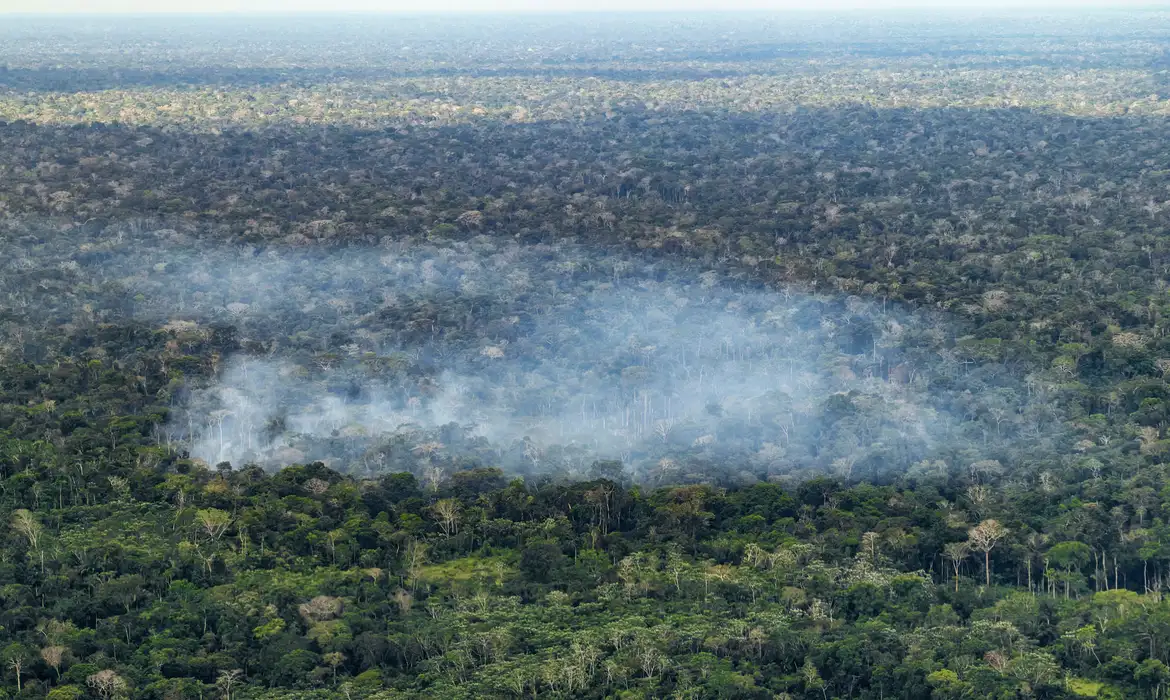 Emissões de carbono na Amazônia: estudo aponta ação humana