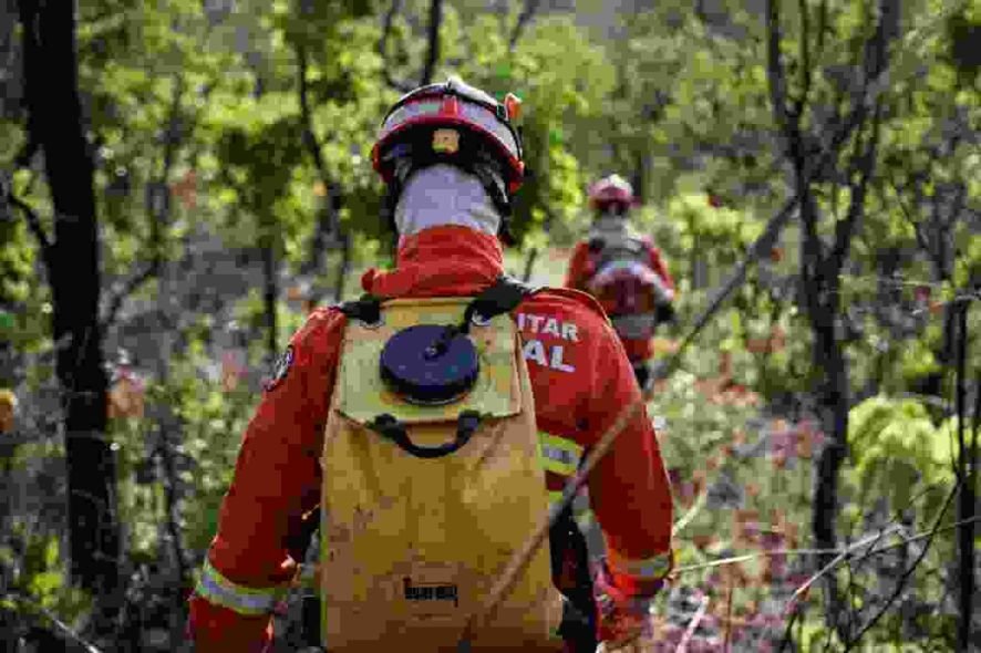 Corpo de Bombeiros de MT combate três incêndios florestais