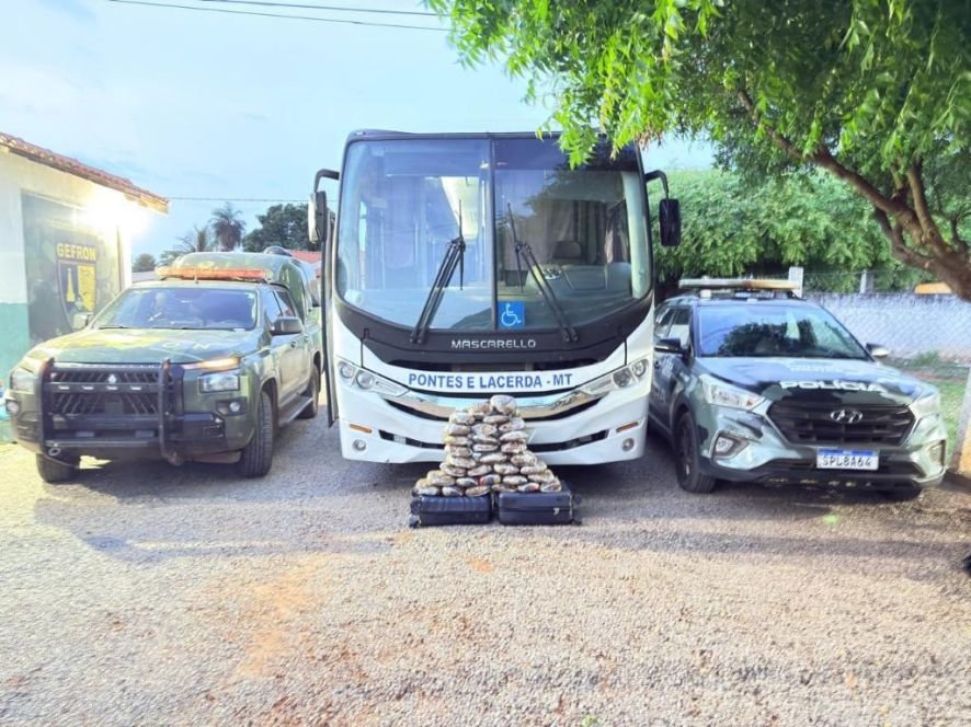 Apreensão de maconha em ônibus: 31 tabletes são localizados